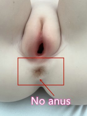 AXBDOLL 148cm GD13# Head Can Choose Slight Defect Silicone Doll